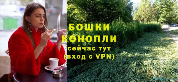 соль ск Сосновый Бор