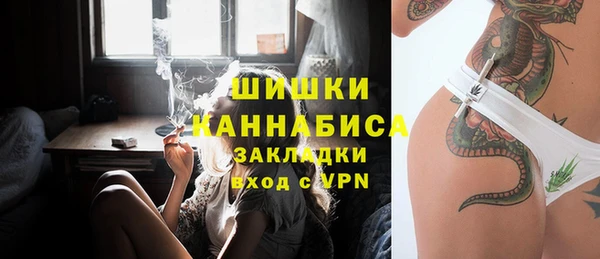 прущие грибы Сосновка