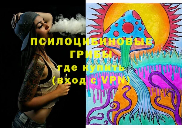 соль ск Сосновый Бор