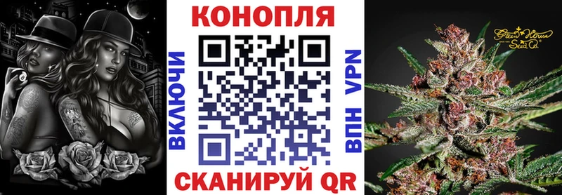 Купить где  Электрогорск  Бошки марихуана семена